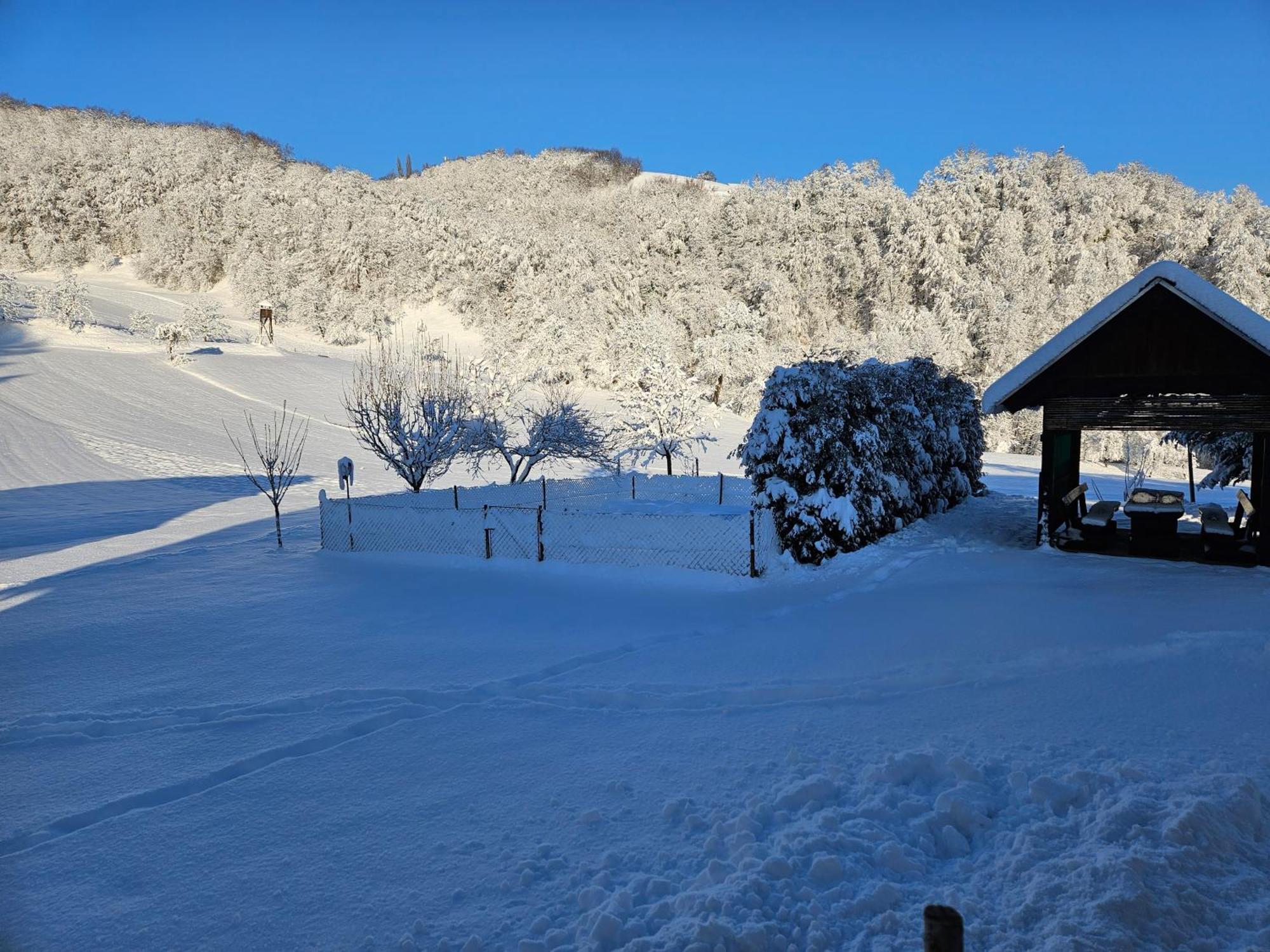 Francek House Podcetrtek Villa Buce Екстериор снимка